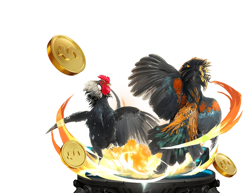 Bước 3: Bắt đầu kiếm tiền